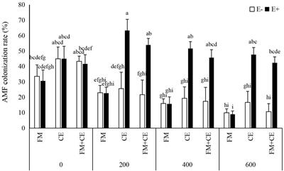 Interactive Effects of Epichloë Endophytes and Arbuscular Mycorrhizal Fungi on Saline-Alkali Stress Tolerance in Tall Fescue